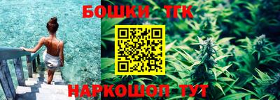 индика Кулебаки