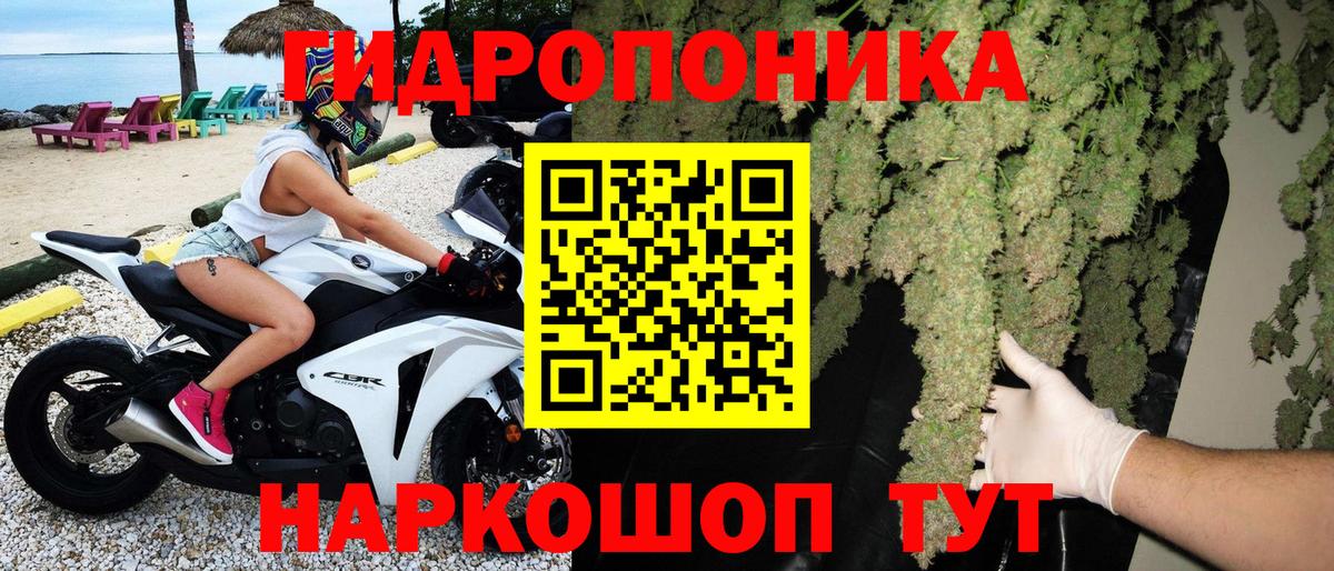 Бошки марихуана гибрид Выборг