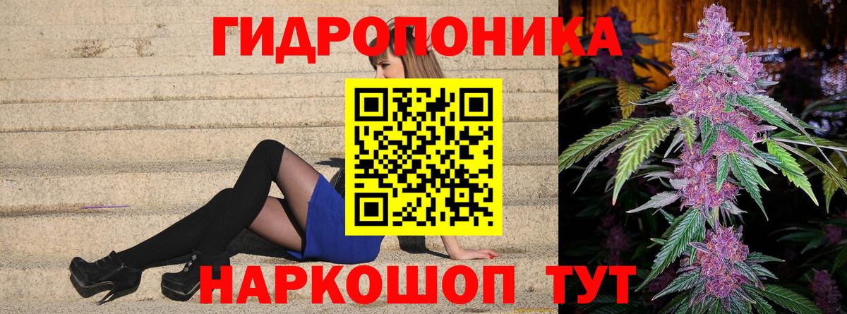 Канабис планчик  Конопля план  Вход с VPN  Выборг 